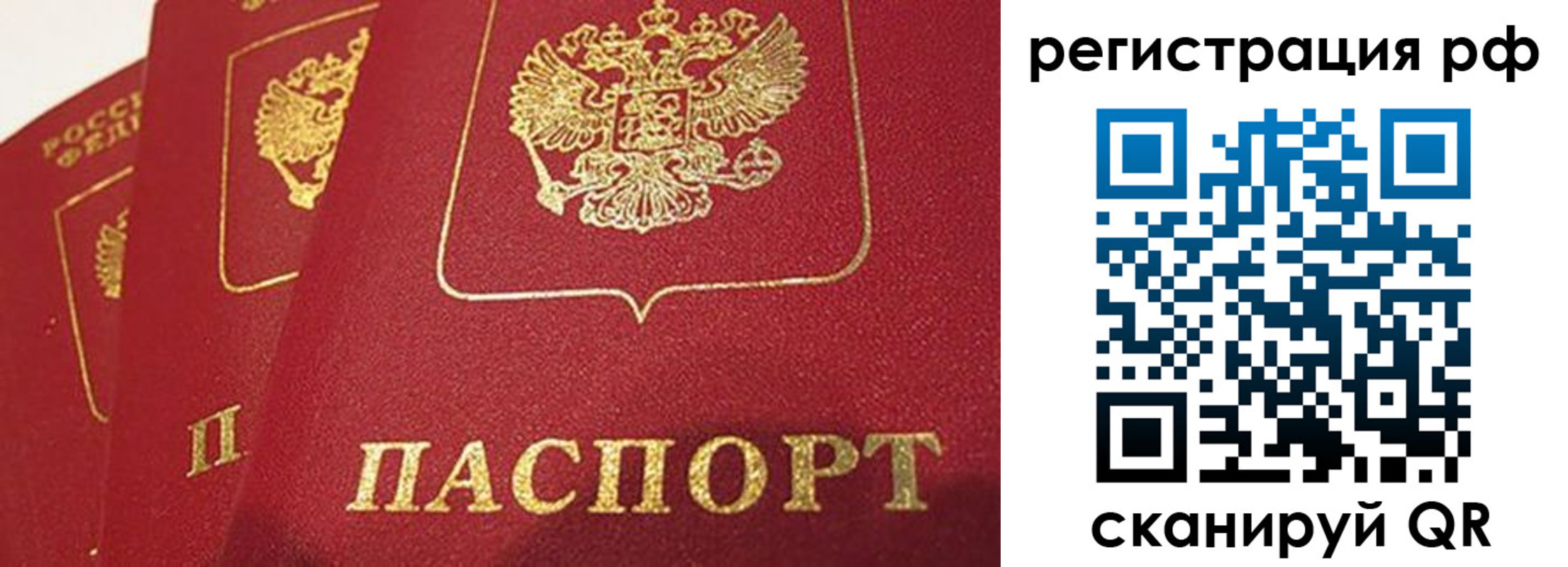 прописка в квартире в Богородске